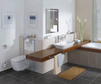 Grohe Rapid SL